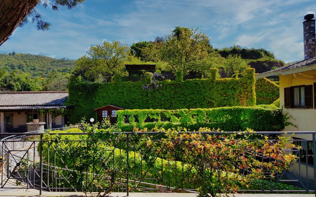 Agriturismo Le Vigne Bolsena Exteriér fotografie