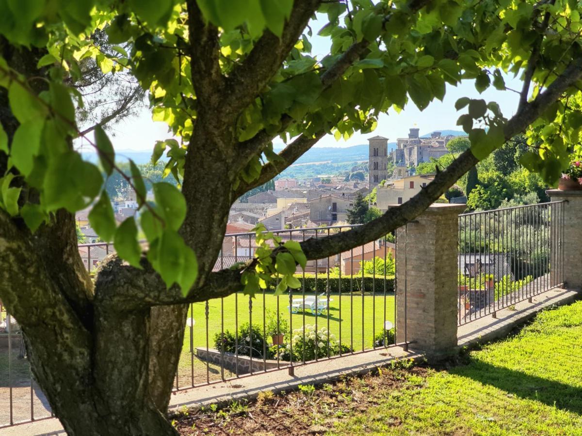 Agriturismo Le Vigne Bolsena Exteriér fotografie