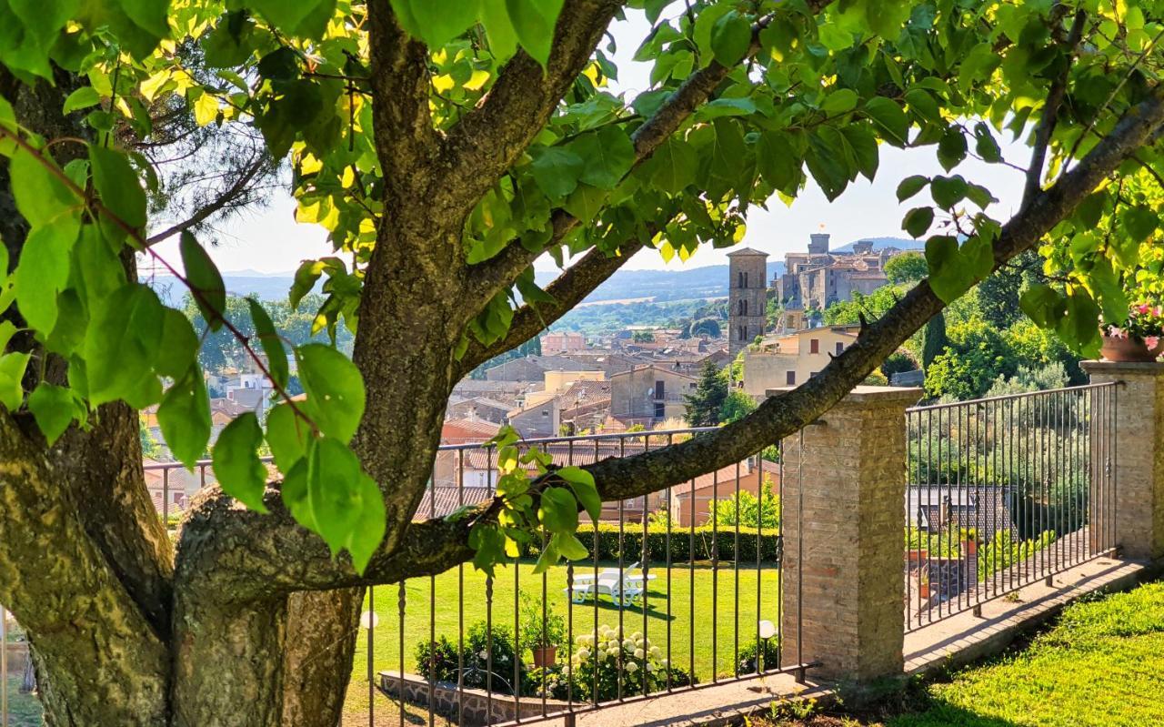 Agriturismo Le Vigne Bolsena Exteriér fotografie